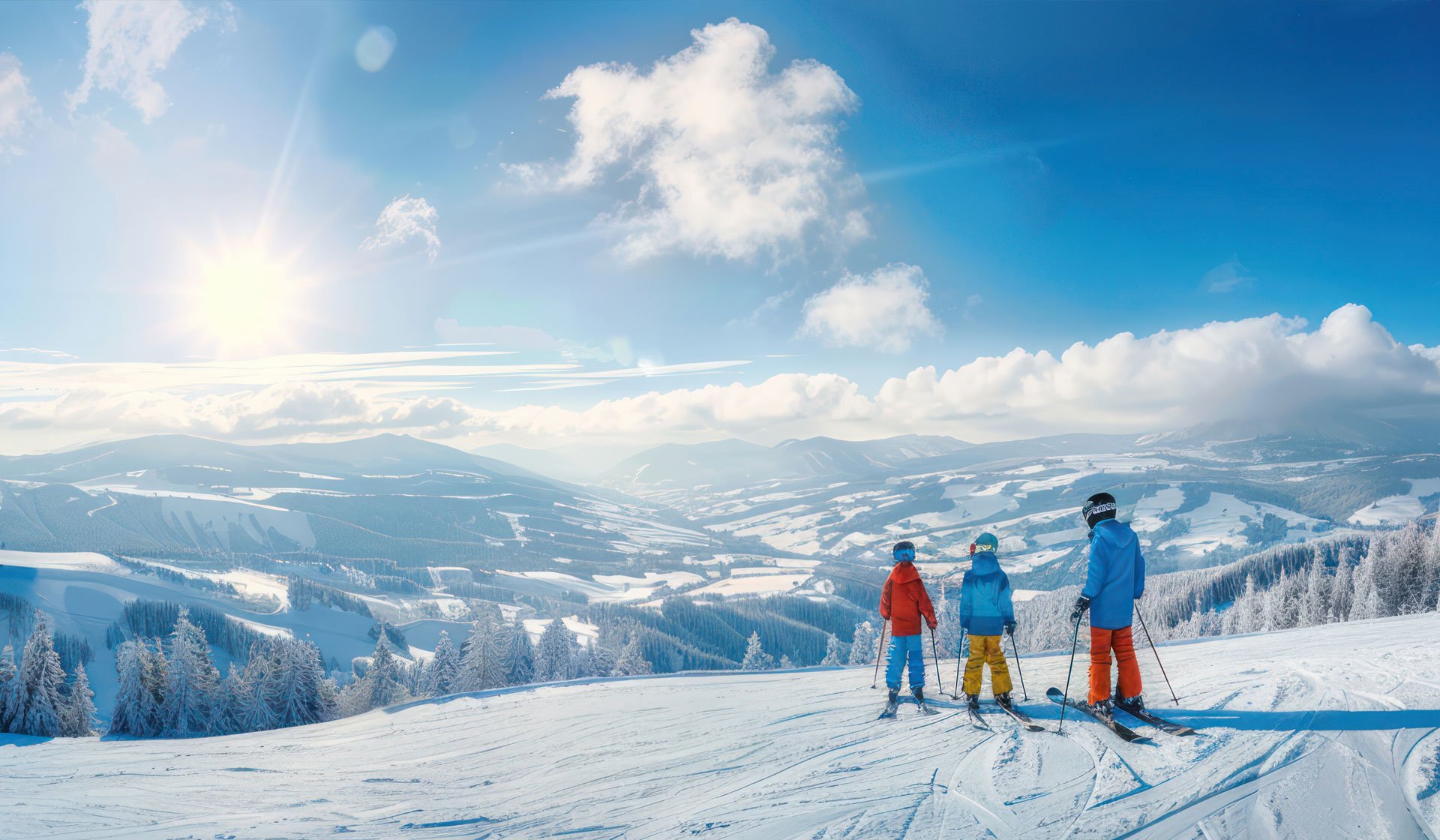 Araç Kiralama & Transfer Hizmetleri